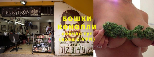 МДПВ Козловка