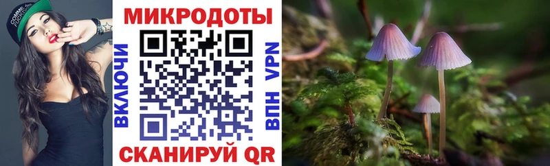 Псилоцибиновые грибы Psilocybe  Ачинск 