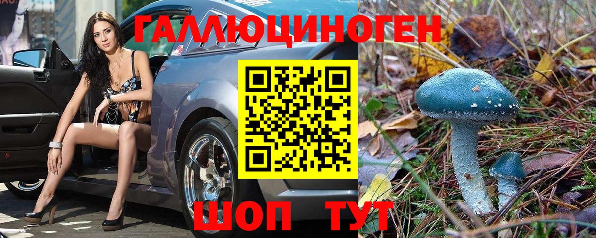 Ачинск  Псилоцибиновые грибы MAGIC MUSHROOMS  Вход с VPN 