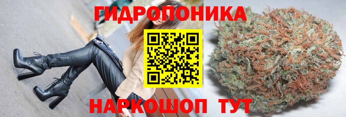 Конопля гибрид  МАРИХУАНА THC 21%  Шишки марихуана конопля  Вход с VPN  Ачинск 